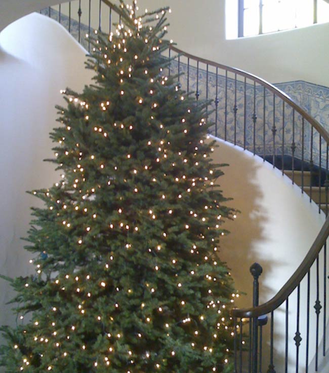 Christmas Lighting & Decorating for Commercial and Residential